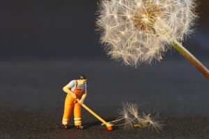 De quoi s'agit-il ?