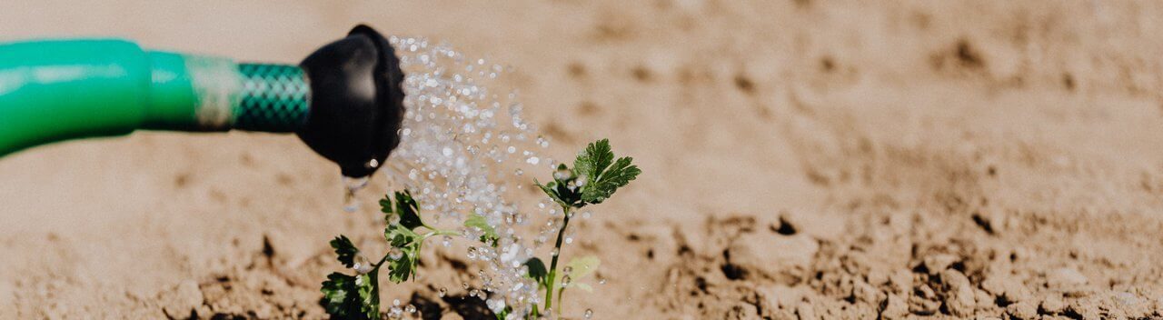 Comment remplir sa déclaration trimestrielle de prime d'activité msa ?