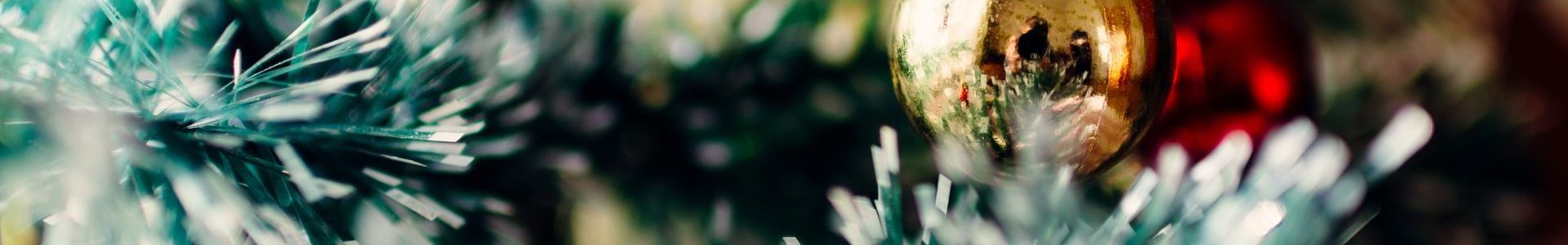 prime de noel pole emploi