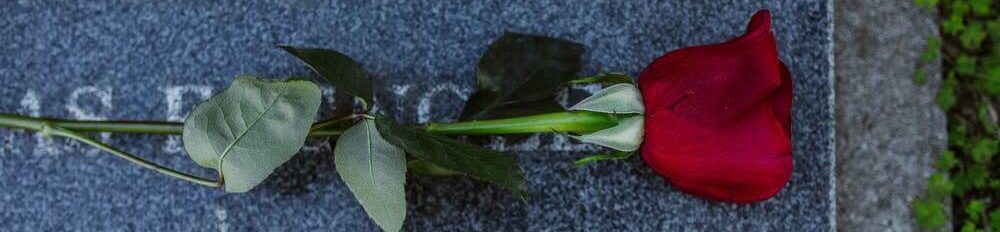 Allocation de veuvage CAF conditions montant demarches