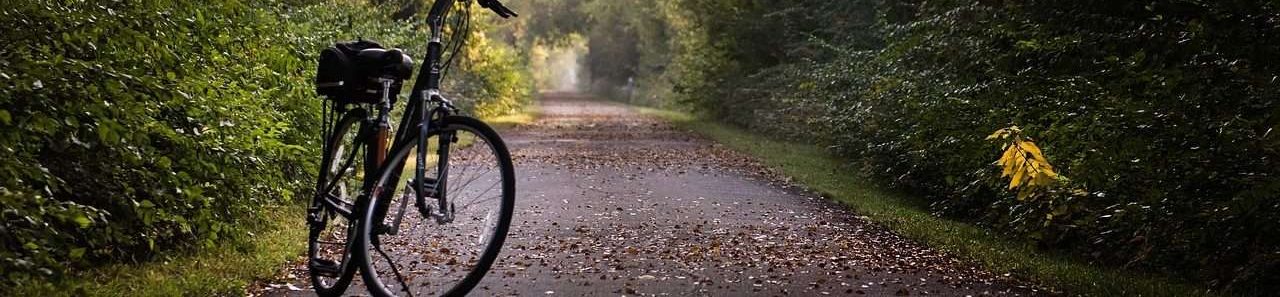 prime vélo électrique