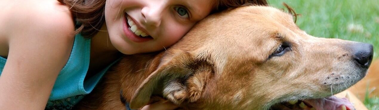 carnet de sante chien