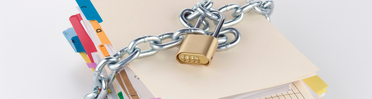 carnet santé numérique 