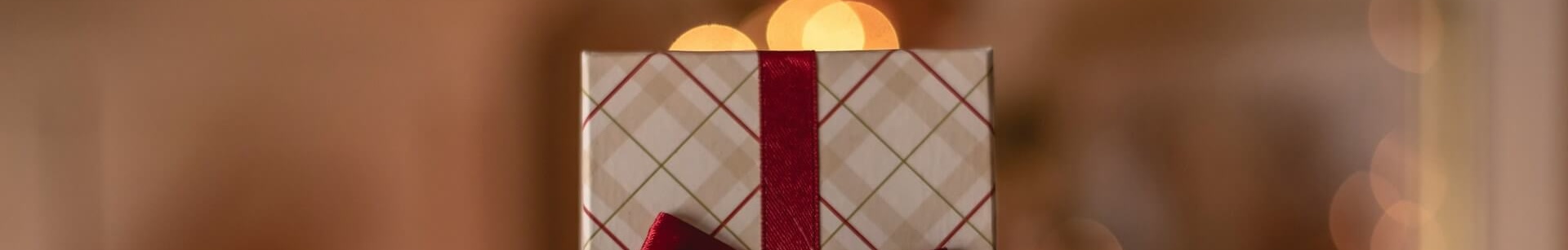 prime noel auto entrepreneur