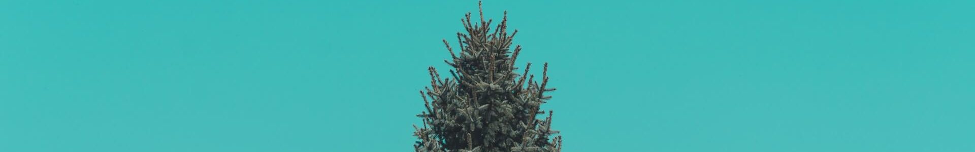 prime noel deux enfants