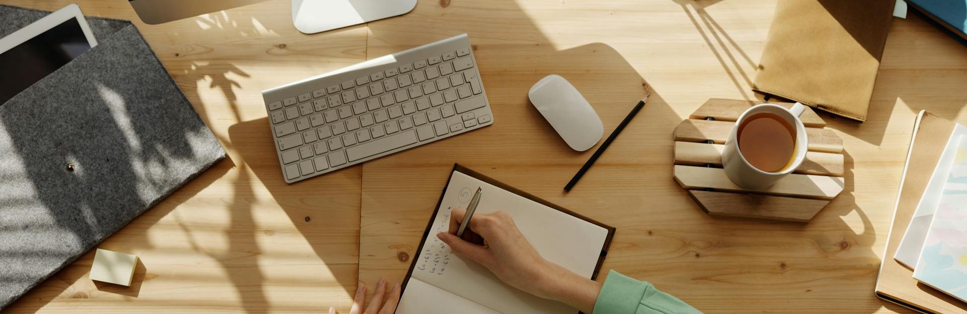 plafond bourse lycee