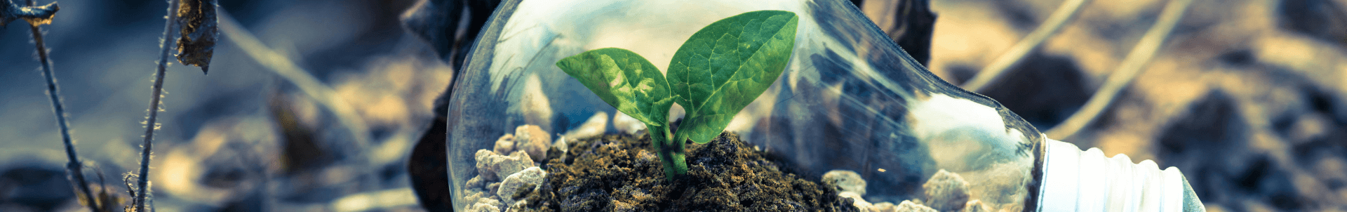 Happy Heures Vertes bandeau