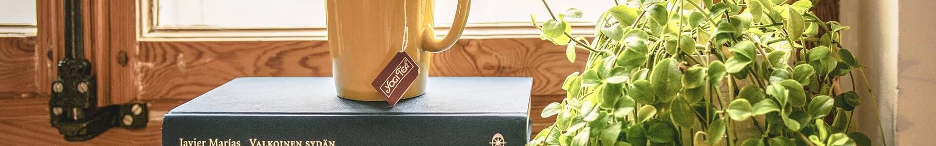 nouvelle loi loyers impayes article